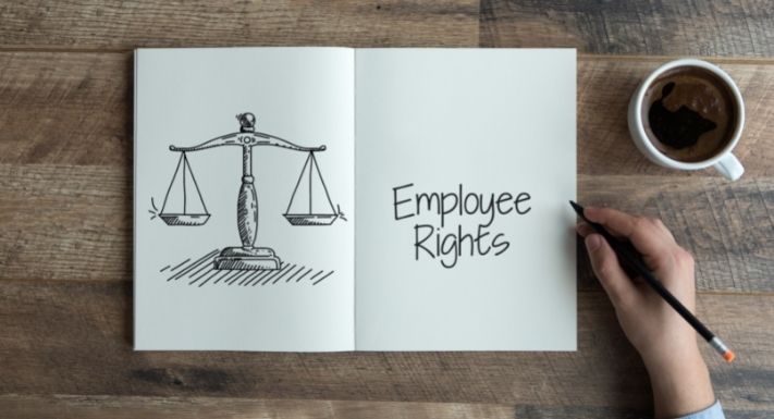 Employment Law Rights – Workplace Protections Employees Should Know
